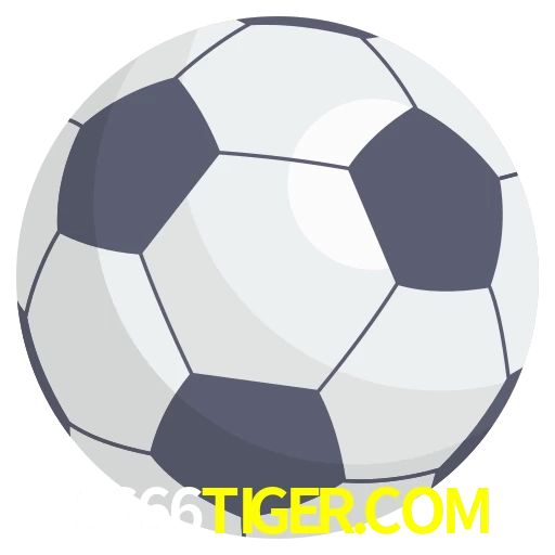 Futebol